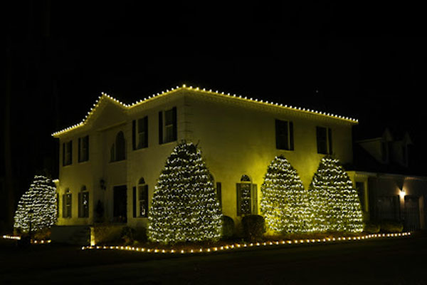 Christmas Light Service Greenville NC 4